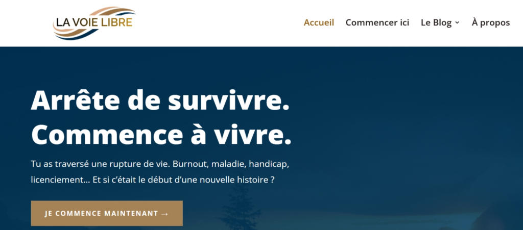 capture page accueil blog la voie libre
